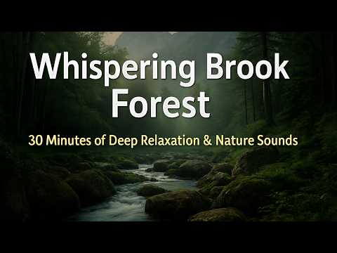 Whispering Brook Forest | 30 Minutes of Deep Relaxation & Nature Sounds