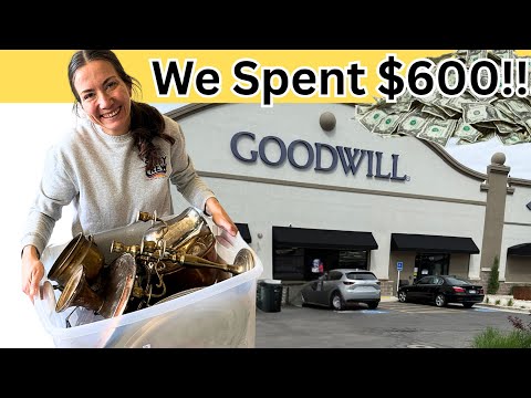 $600 Dollars At Two Thrift Stores?! What Did We Find This Week?