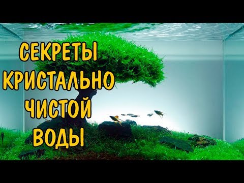 СЕКРЕТЫ КРИСТАЛЬНО ЧИСТОЙ ВОДЫ