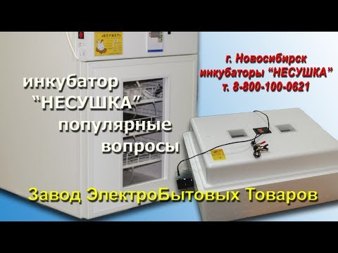 Инкубатор Несушка ответы на вопросы и отзывы владельцев