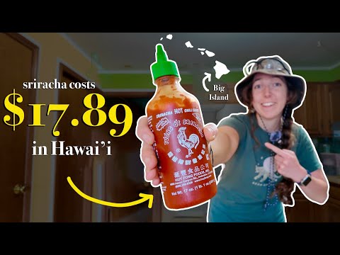 grocery prices in hawai'i are kind of wild | VLOG (week 2!)