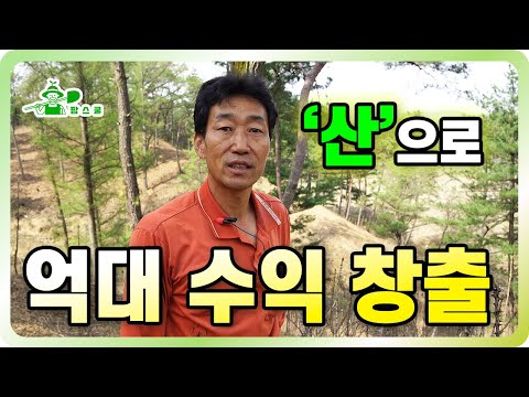 How to Make Millions in Retirement | High-Profit Forestry Crops | How to Cultivate Medicinal Herb...