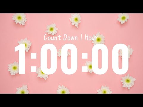 "📚 Study With Me🌺 | 1 Hour🧠 Full Focus ⏳ Silence No Music