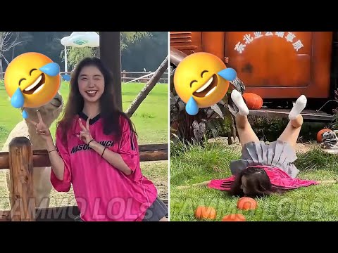TRY NOT TO LAUGH 🤣🤣 Chinese Funny Videos compilation - Fails & Hilarious Moments P39