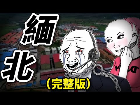 客服猴子的一生（完整版）| Wojak