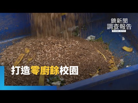 清廚餘奇兵「黑水虻」！從蟲到雞蛋　吉慶國小打造「零廚餘」循環校園 ｜鏡新聞調查報告｜#鏡新聞