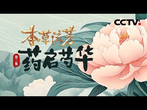 白芍和赤芍有何不同？揭开芍药“一种植物两味药”的神奇之谜《本草流芳》 第3集 药启芍华 | CCTV「本草流芳」