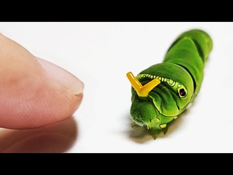 The Process Of Making Friends With a Caterpie.