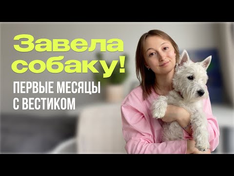 ВЕСТ ХАЙЛЕНД | Мой честный опыт, сложности и советы