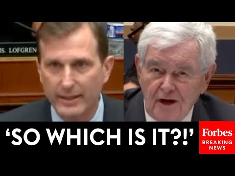 BREAKING NEWS: Dan Goldman Does Not Let Up On Newt Gingrich Over Judges' Nationwide Injunctions