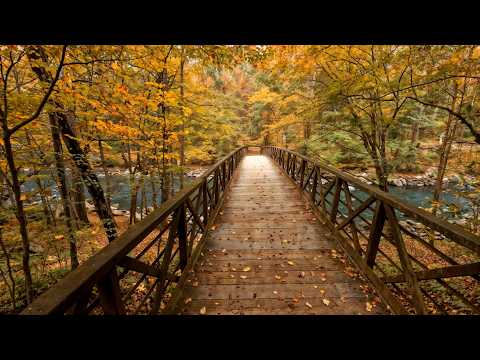 Smoky Mountains Park 🏔️🍂 Beautiful Relaxing Autumn Music for Deep Relax, Healing Stress & Calm Mind