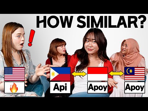 American Was Shocked by Word Difference Between 3 Asian Languages! lMalaysia, Indonesia, Philippines