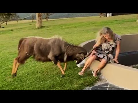 Best Fails of the Decade | Hilarious Videos