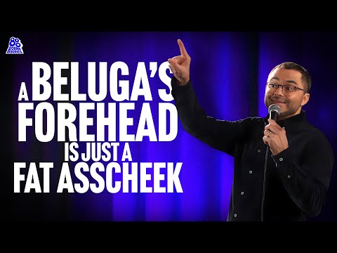 Animal Jokes With Joe Mande | Chill