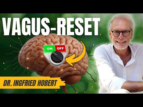 🧠 Der Vagusnerv, dein innerer Schalter gegen Dauerstress & Traumata