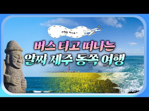 🚍버스로 떠나는 알짜 제주 동쪽 여행🌊 제주도 물가 걱정 끝! 자연과 여유를 제대로 즐길 수 있는 시간🌿 뚜벅이 여행자라면? 이 영상 보고 제주도로 #여행을떠나요