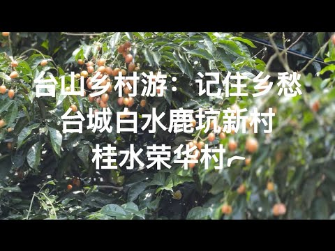 台山乡村游-记住乡愁。台城白水鹿坑新村桂水荣华村Taishan Countryside Tour - Remember Nostalgia探索台山637