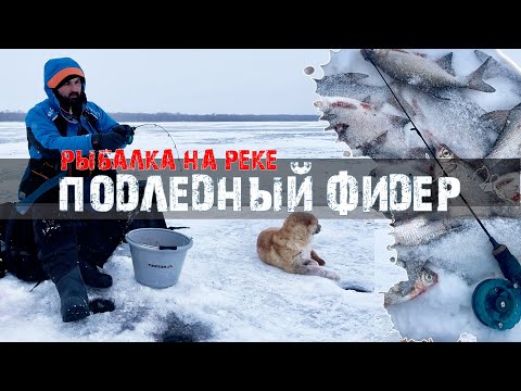 Фидер со льда | ловлю бель на течении