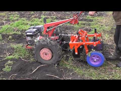 Crop failure 2024. MTZ, BRIGHT, OKA with vibrating potato diggers. We get potatoes out of the mud.