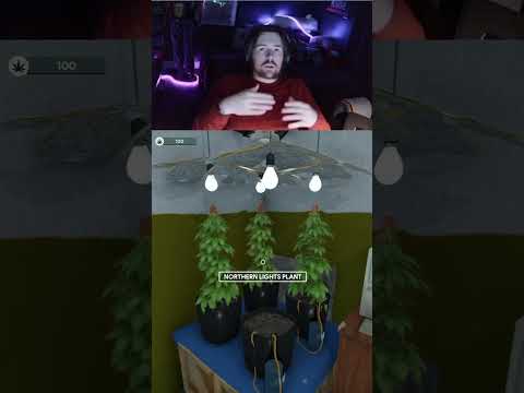 guys someone should buy me an average deck #clips #weedshop3 #gaming