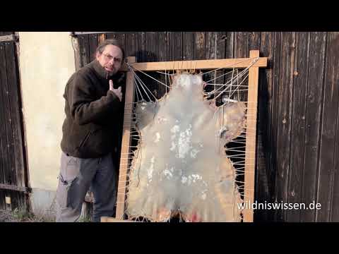 Tanning deer hide - from skin to deer hide