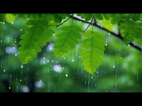 긍정 에너지를 채우는 힐링 명상음악 🌞 아침 루틴, 마음 정화, 집중력 향상