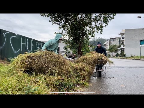 Locals are curious as we clear the weed-covered sidewalk spilling onto the road—join us in cleaning.