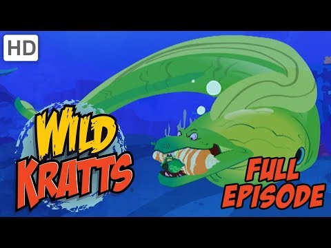Wild Kratts - The Hermit Crab Shell Exchange (Full Episode)
