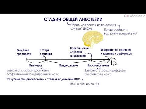 Стадии общей анестезии - Общие и местные анестетики