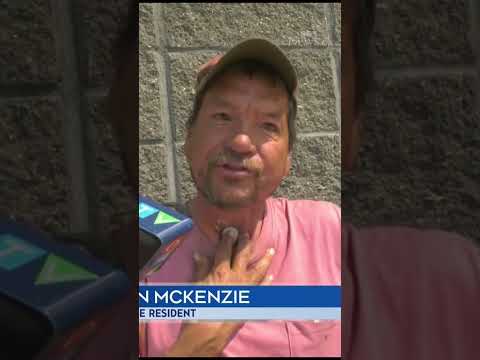 Northern Sask. wildfire evacuees arrive in Regina