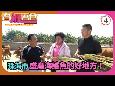 TVB飲食節目 | 吾淑吾食(Sr.2) 04/17 | 食在珠海（下） | 黃淑儀 | 粵語中字 | 2015