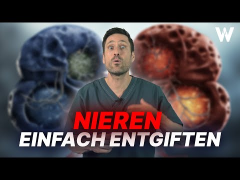 Nieren entgiften: 7 TOP Lebensmittel für eine gesunde Nierenpflege! Entgiftung auf dem Prüfstand