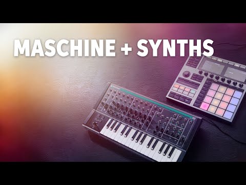 Maschine Plus Autosampler: Synths & Sampling Reimagined | Deep Dive