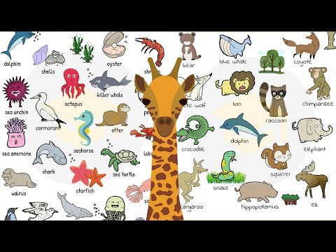 Learn 200+ Common Animals in English in 25 Minutes