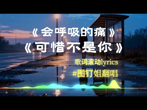 【会呼吸的痛】+【可惜不是你】图钉姐翻唱 梁静茹的歌曲 【动态歌词lyrics】经典歌曲 #中文歌曲翻唱