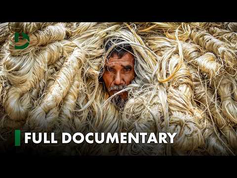 Last Days of Jute? A Day in the Life of Bangladeshโs Jute Farmers | DreamersEye