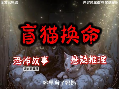 《盲猫换命》50分钟 哄睡悬疑故事已完结。#沈美书屋 #悬疑恐怖故事#一口气看完系列#完结文#哄睡神器#民间故事