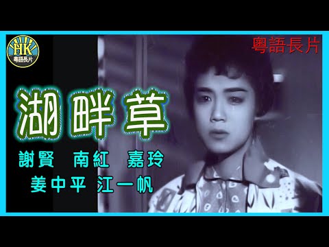 《粵語長片》湖畔草  (1959)｜謝賢｜南紅｜嘉玲｜姜中平｜江一帆｜導演：楚原｜香港電影｜香港粵語電影｜粵語中字