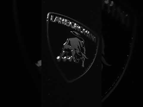 Lamborghini Charlotte’s New Showroom Coffee-Table Book #fyp #foryou #CODA #luxurybranding