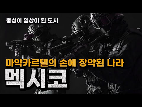 The Money Behind the Gunfire! The Shadow Economy Ruled by the Mexican Cartels!