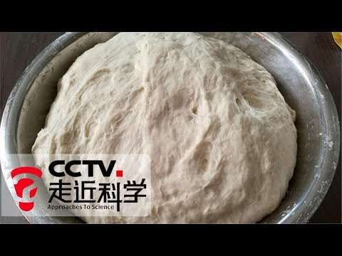 《走近科学》物从何处来 · 酵母：能吃能喝能穿还能抹脸的酵母菌 20181020 | CCTV走近科学官方频道