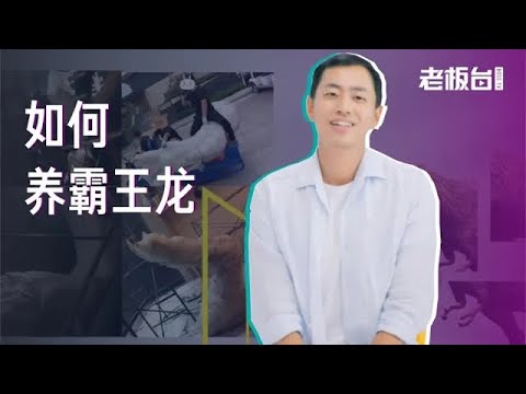 水哥Talk：工作中最值钱的能力是什么？职场老手教你如何养霸王龙  | 老板不知道的我
