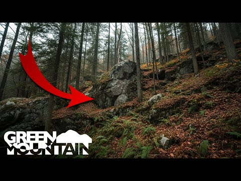 It Doesn’t Make Any Sense for This to Be HERE…