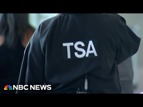 San Diego TSA union leader says ICE getting sent to airports is ‘the most ridiculous thing’