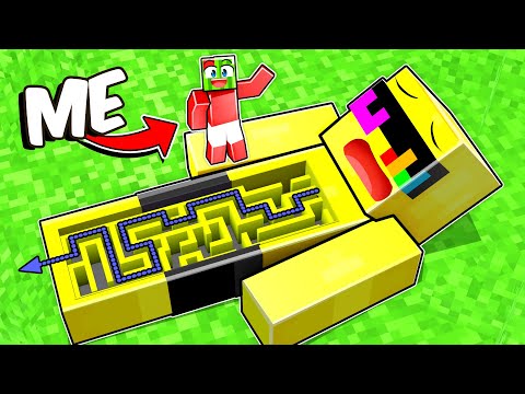 Secret MAZE Inside of My Friend!