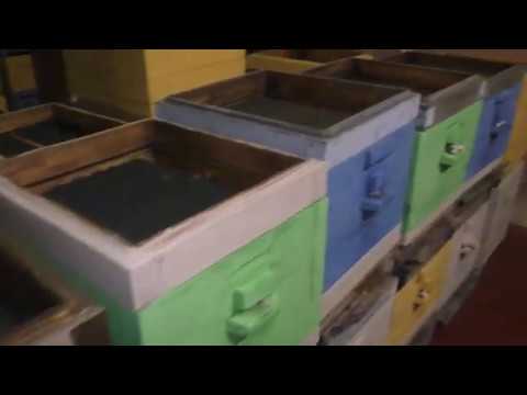 О зимовке пчел в помещении и на улице.