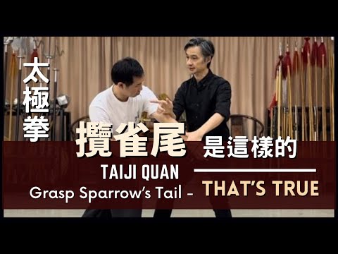 Taiji Quan Grasp Sparrow’s Tail - That’s True 太極拳 攬雀尾 是這樣的