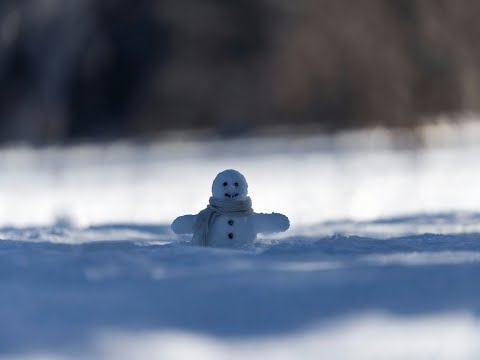 [ℙ𝕝𝕒𝕪𝕝𝕚𝕤𝕥] 겨울감성 가득한 남자 발라드 플레이리스트 | 정승환, 폴킴, 규현, M.C the MAX