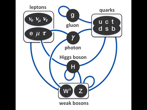 Standard Model 1: Particles