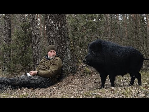 35 Times When Animals Reunited With Owners After Years And Stayed Together !